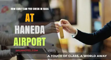 Haneda Airport: Best Check-In Time for Baggage
