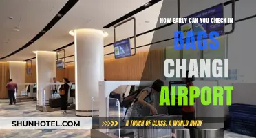 Changi Airport: Checking in Your Bags Early