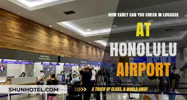 Honolulu Airport: Best Time to Check-In Luggage
