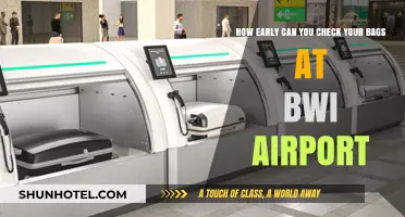 Best Time to Check Bags at BWI Airport