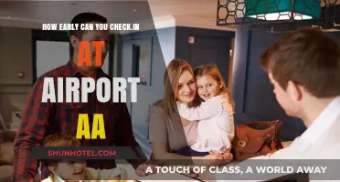 Airport Check-In: When Can You Arrive?
