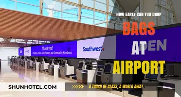 Airport Bag Drop: When Can You Check In?