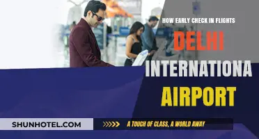 Early Check-In Tips for Delhi International Airport Flights