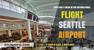 Early Check-In Tips for International Flights at Seattle Airport