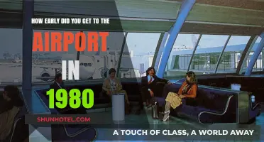 Nostalgic Airport Arrivals: Early 1980s Travel Timing Explored