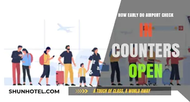 When Do Airport Check-In Counters Open? Early Bird Guide