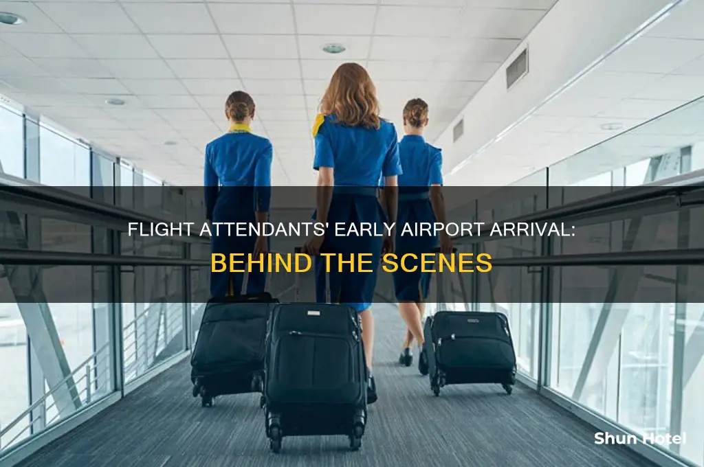 how early do flight attendants get to airport