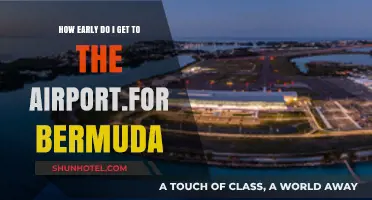 Bermuda Bound: Optimal Airport Arrival Time Tips for Stress-Free Travel