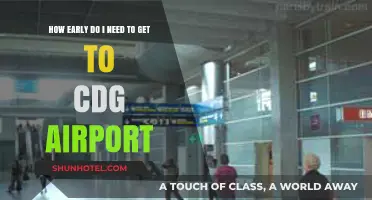 Arriving at CDG: Optimal Timing for Stress-Free Airport Experience