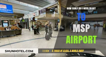 MSP Airport Arrival Guide: Timing Your Early Departure Perfectly