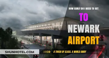 Navigating Newark Airport: Optimal Arrival Times for Stress-Free Travel