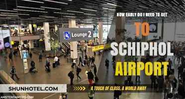 Arriving at Schiphol: Optimal Timing for Stress-Free Travel Preparation