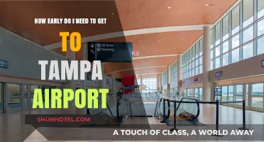 Arriving at Tampa Airport: Timing Your Departure for Stress-Free Travel