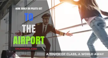 Pilots' Pre-Flight Prep: Uncovering Early Airport Arrival Times