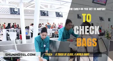 Arriving Early: Optimal Timing for Airport Bag Check-In