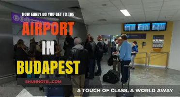 Budapest Airport Arrival Tips: Optimal Timing for Stress-Free Travel