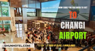 Changi Airport Arrival Guide: Optimal Timing for Stress-Free Travel
