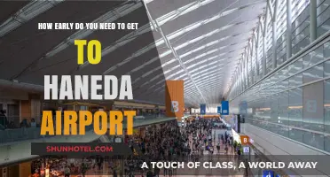 Arriving at Haneda Airport: Optimal Timing for Stress-Free Travel