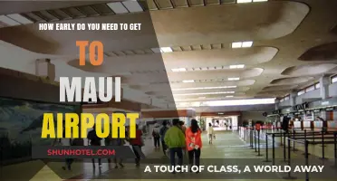 Maui Airport Arrival Guide: Timing Your Trip for Stress-Free Travel