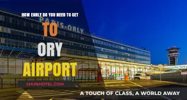 Navigating Paris Orly Airport: Optimal Arrival Times for Stress-Free Travel