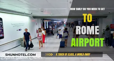Arriving Stress-Free: Optimal Timing for Rome Airport Departures