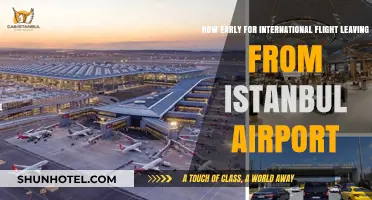 Istanbul Airport International Flights: Optimal Arrival Time Guide