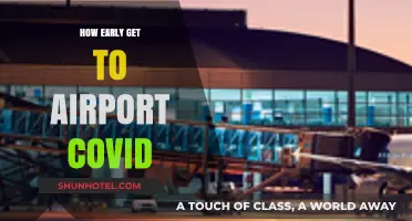 Navigating Airport Travel: How Early Should You Arrive During COVID?