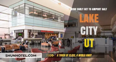 Early Airport Arrival Tips for Salt Lake City, UT Travelers