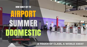 Beat Summer Travel Stress: How Early Should You Arrive for Domestic Flights?