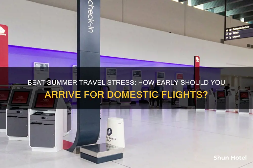 how early get to airport summer ddomestic