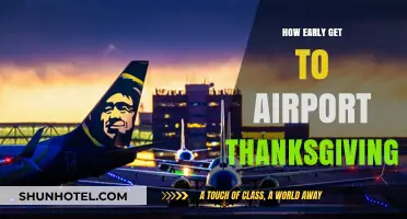 Beat Thanksgiving Travel Chaos: Optimal Airport Arrival Tips for Stress-Free Flights