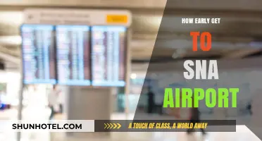 How Early Should You Arrive at SNA Airport? Tips & Timing