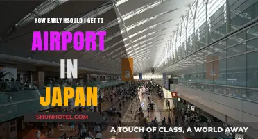 Navigating Japan's Airports: Optimal Arrival Times for Stress-Free Travel