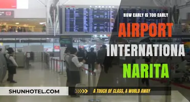 When to Arrive at Narita Airport for Stress-Free International Travel