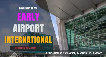 How Early Should You Arrive at the Airport for International Flights?