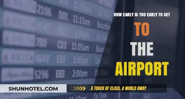 Airport Arrival Timing: Striking the Balance Between Early and Excessive