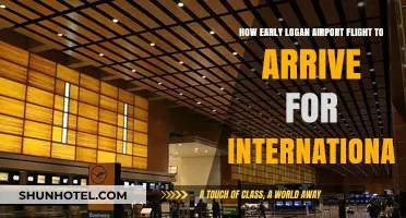 International Flights at Logan Airport: Optimal Arrival Time Guide