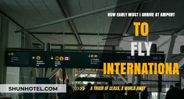 International Travel Tips: Optimal Airport Arrival Time for Stress-Free Flights