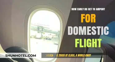 Domestic Flight Prep: Ideal Airport Arrival Time Tips