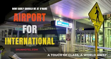 Navigating O'Hare: Optimal Arrival Time for International Flights