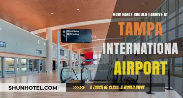 Tampa Airport Arrival Guide: Timing Your Trip for Stress-Free Travel