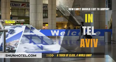 Tel Aviv Airport Arrival Guide: Optimal Timing for Stress-Free Travel