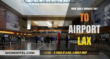 LAX Travel Tips: Optimal Arrival Time for Stress-Free Flights