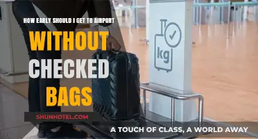 Stress-Free Travel: Optimal Airport Arrival Times for Carry-On Only Flights