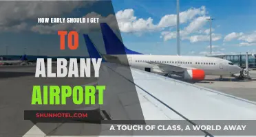 Arriving Stress-Free: Optimal Timing for Albany Airport Departures