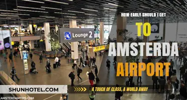 Navigating Amsterdam Airport: Optimal Arrival Times for Stress-Free Travel