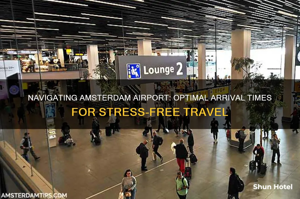 how early should i get to amsterdam airport