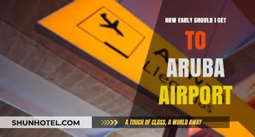 Aruba Airport Arrival Tips: Timing Your Trip for Stress-Free Travel