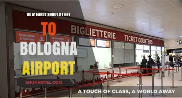 Arriving at Bologna Airport: Timing Your Departure for Stress-Free Travel