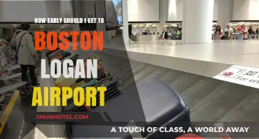 Arriving at Boston Logan: Optimal Timing for Stress-Free Travel